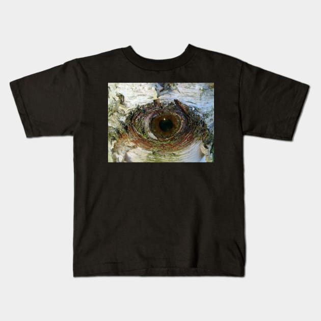 Eye Of The Birch Kids T-Shirt by AH64D